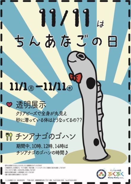 11月11日は「ちんあなごの日｣　くしろ水族館ぷくぷく