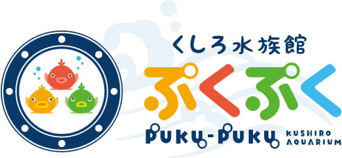 【お知らせ】くしろ水族館ぷくぷくのツイッターアカウント新設